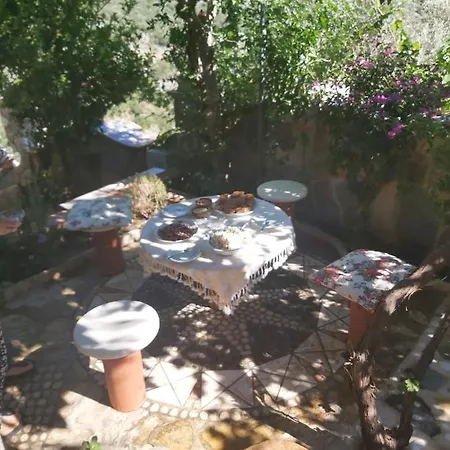 Hotel Symbola Ölüdeniz
