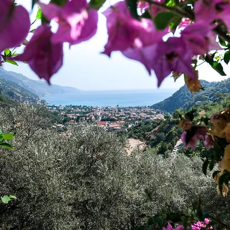 Symbola Oludeniz